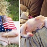 Foster Dad Saves Puppy Born Without Front Legs