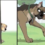 Daily Dose of Laughter with 7 New Comics Featuring the Internet’s Beloved Cat and Dog Duo Pixie-Brutus-comics