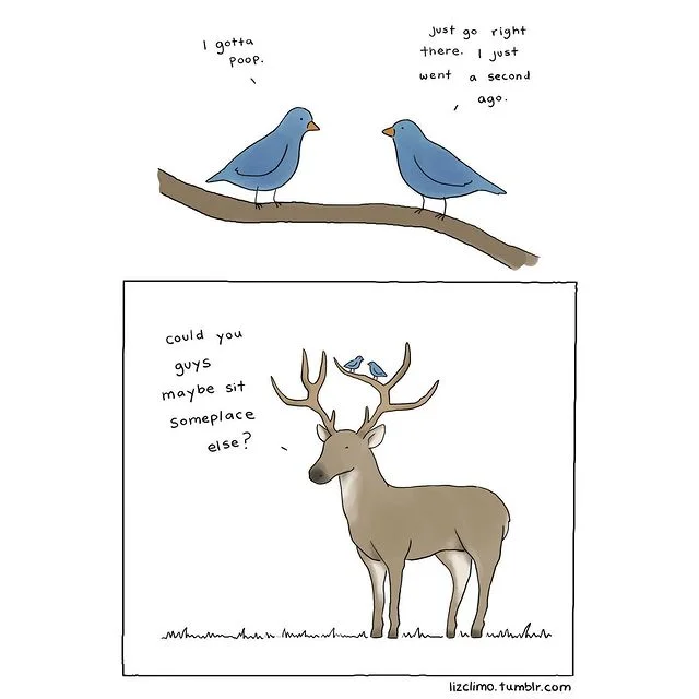 Animator-Illustrates-Humorous