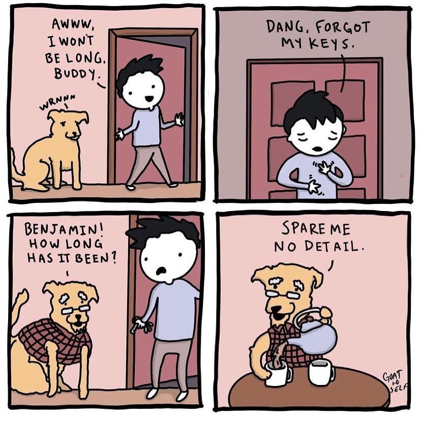 Absurdity-and-Humor