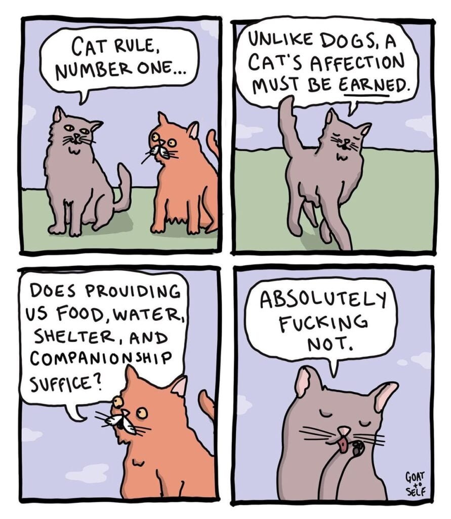 Absurdity-and-Humor