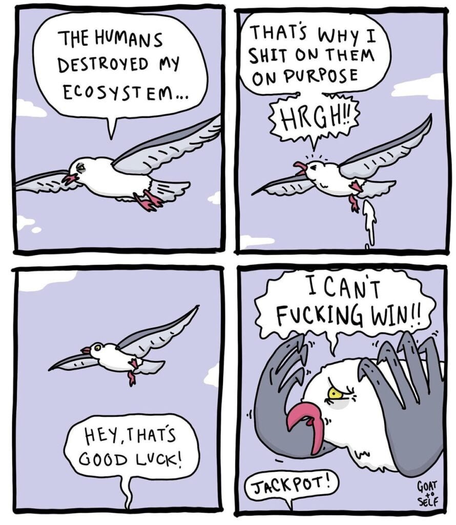 Absurdity-and-Humor
