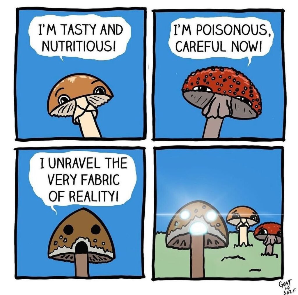 Absurdity-and-Humor