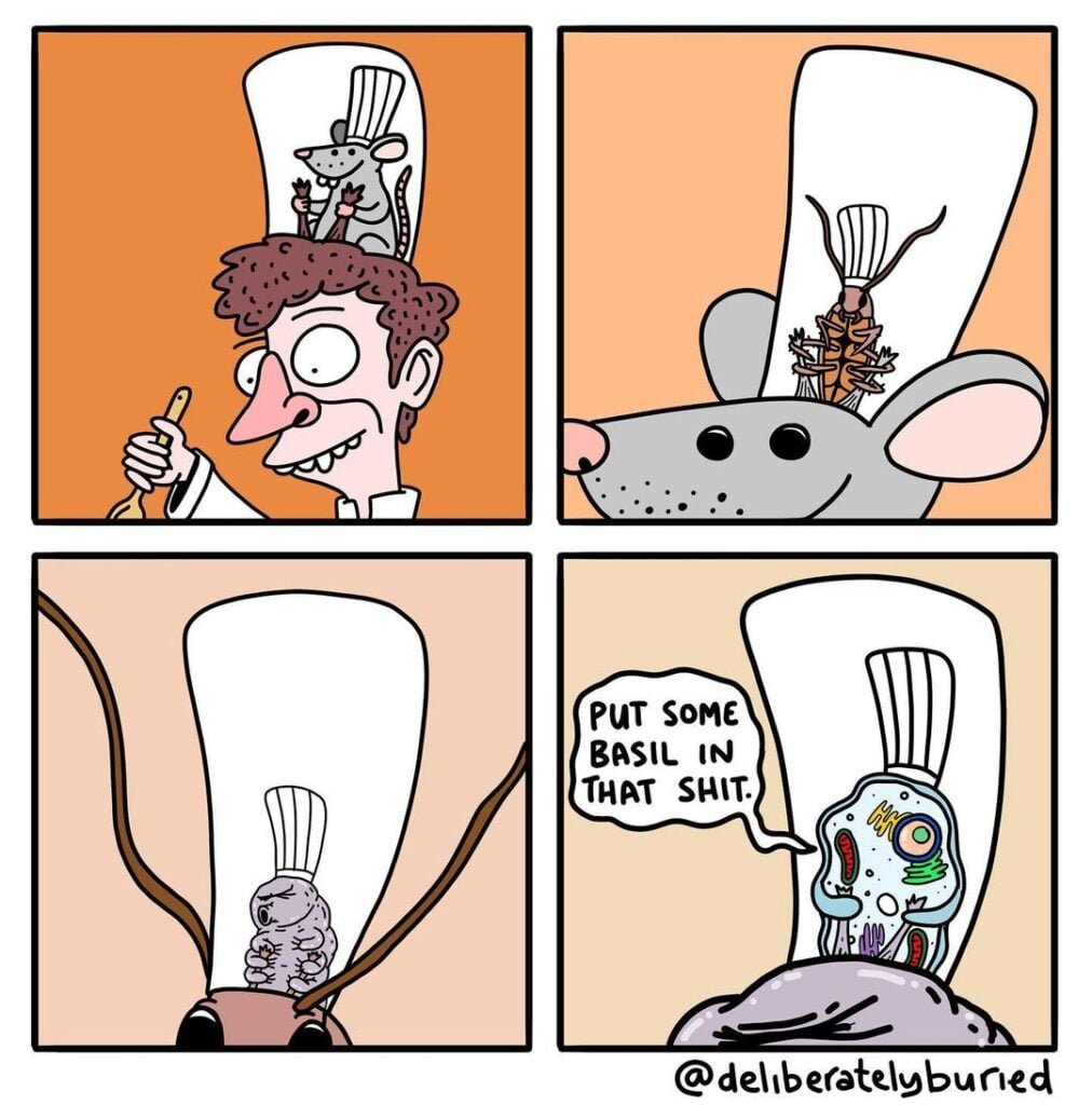 Unexpected-humor-in-comic-strips