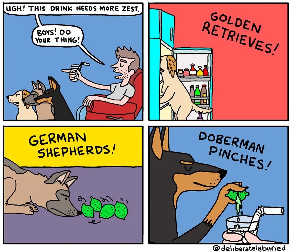 Unexpected-humor-in-comic-strips