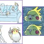 Feathered Fun: Hilarious Cockatiel 22 Comics to Brighten Your Day! Feathered-Fun