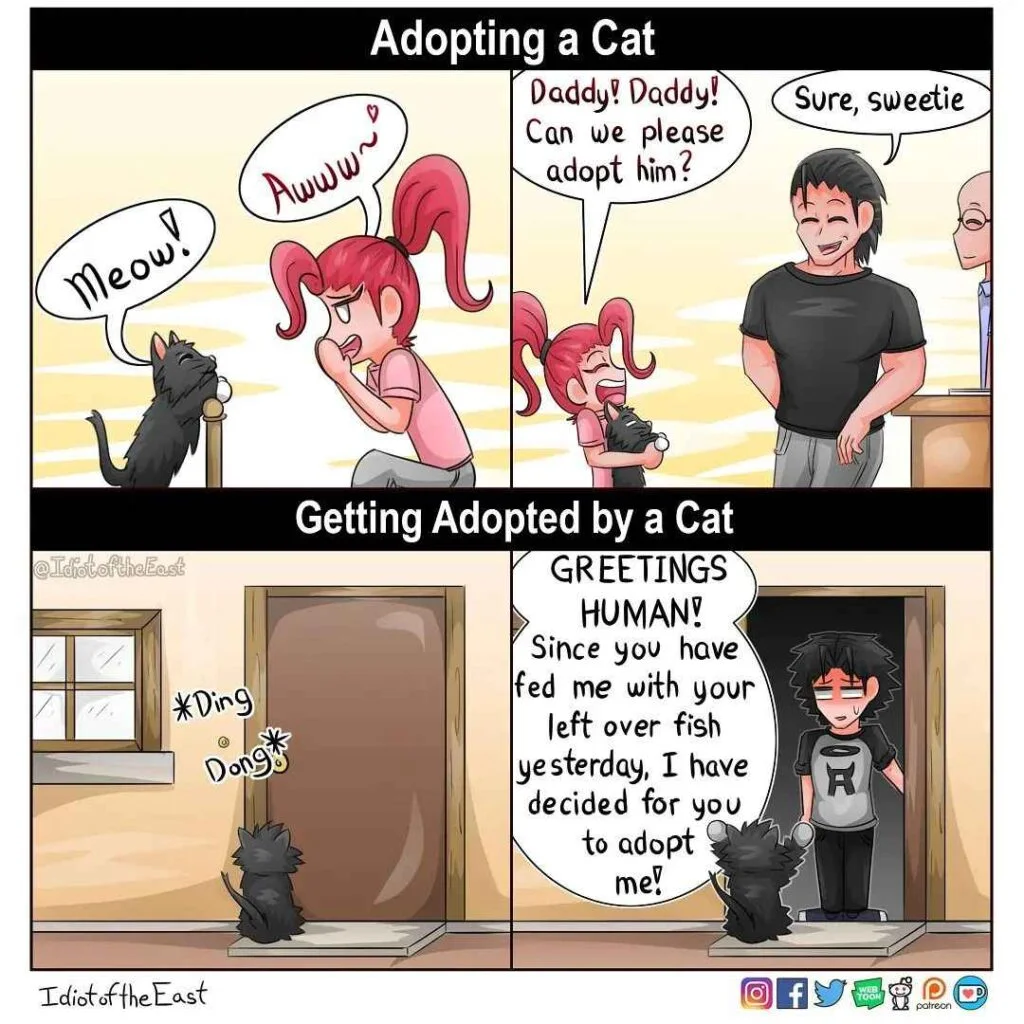 Humorous-illustrations-about-daily-life