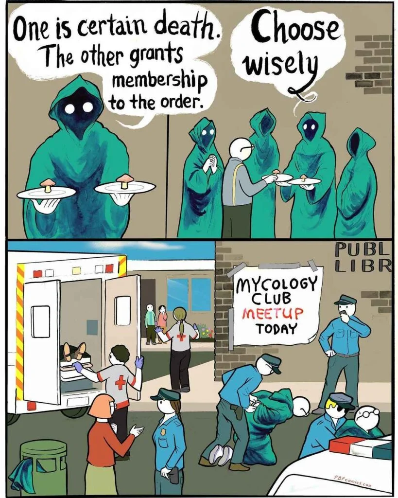PBF-Comics