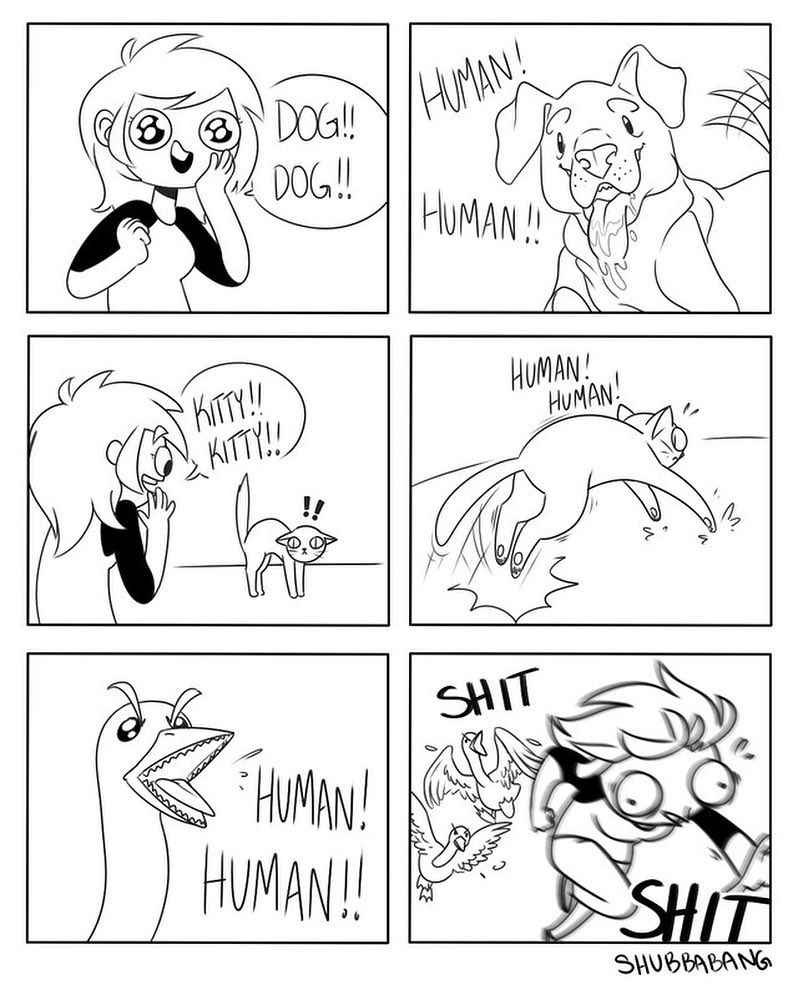 Relatable-humor