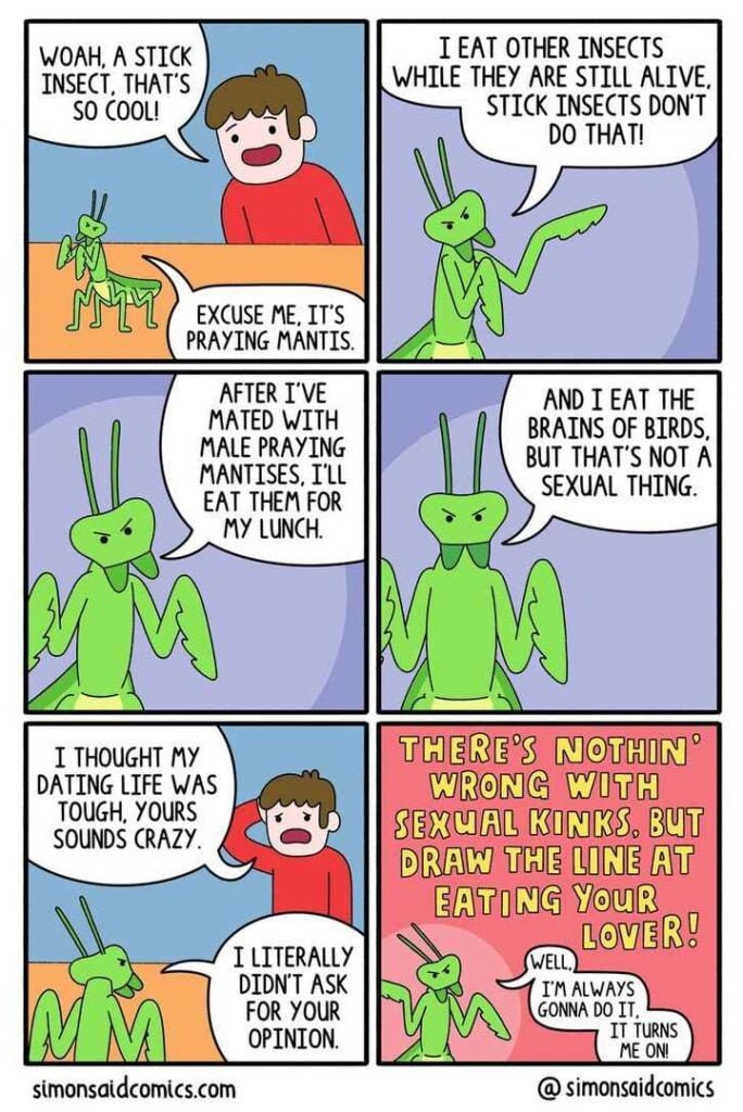 Humorous webcomics