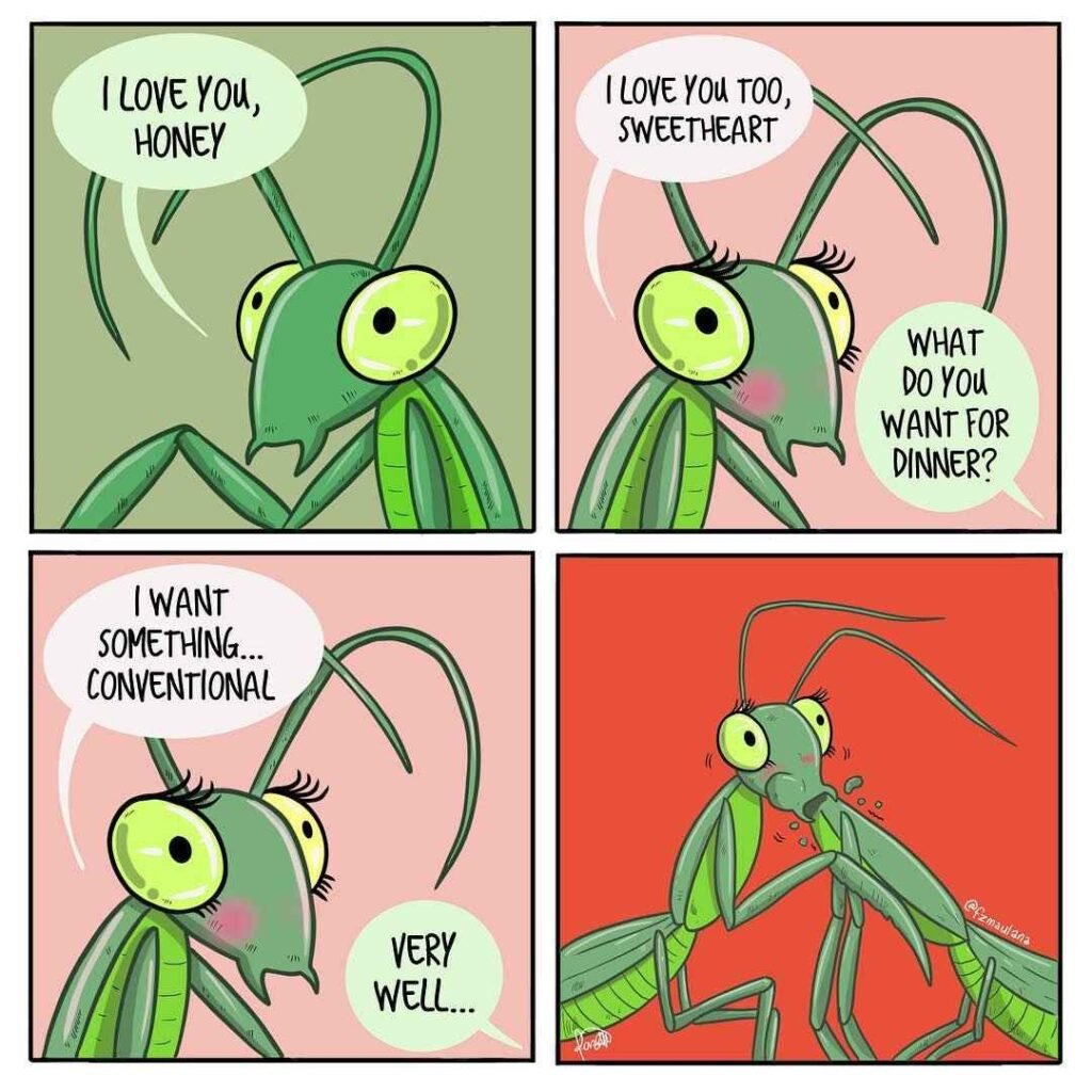 Inspiration-through-humor