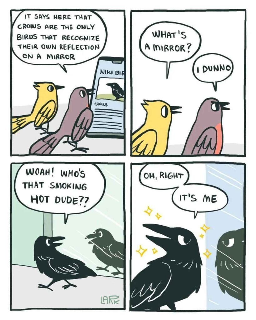 Relatable-life-moments
