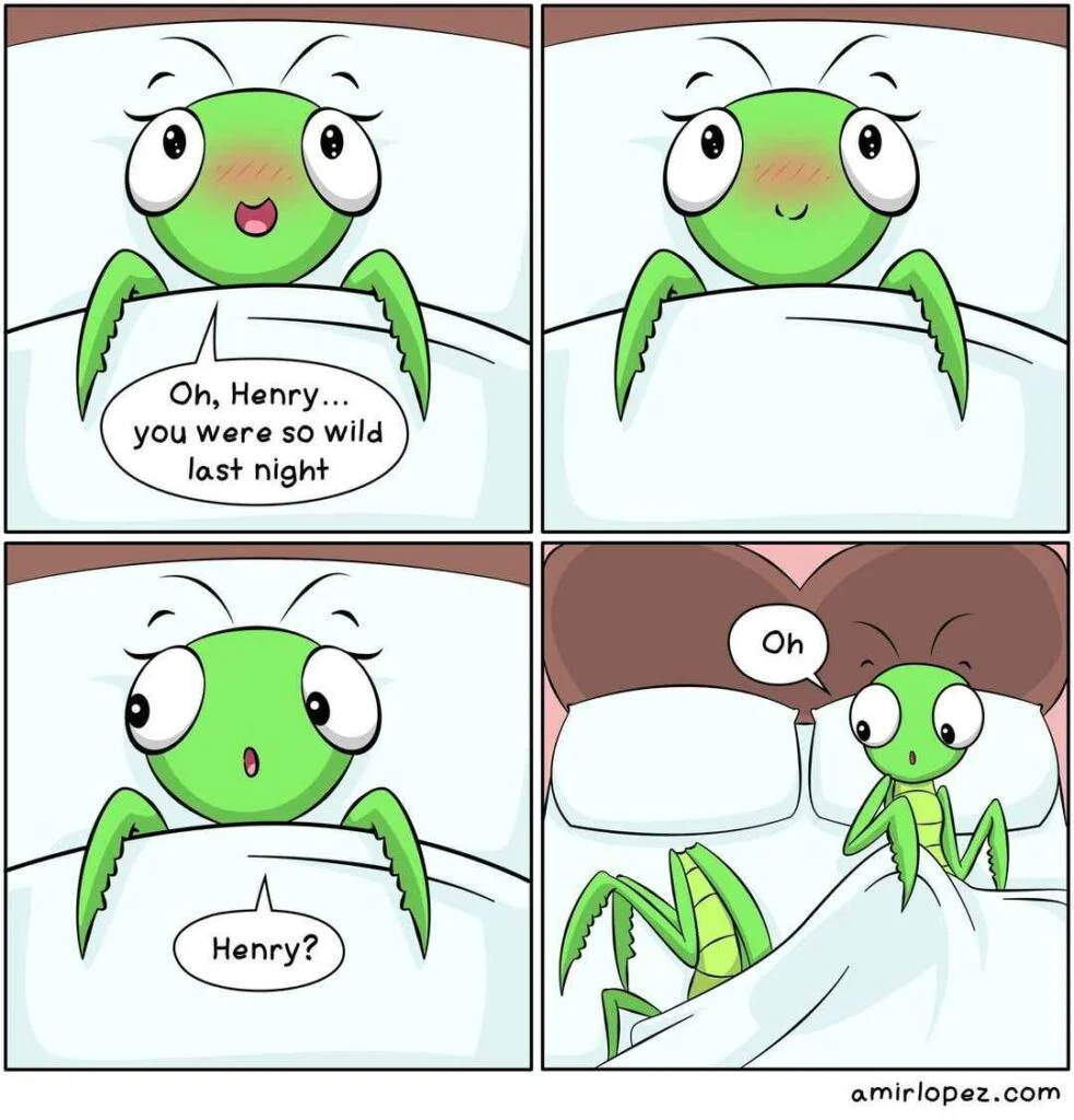 Daily-life-humor-strips