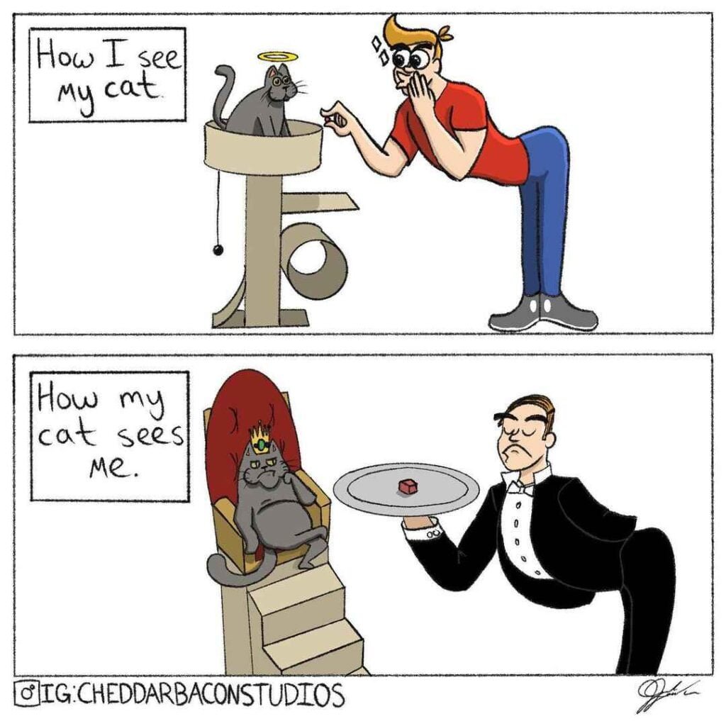Daily-dose-of-humor