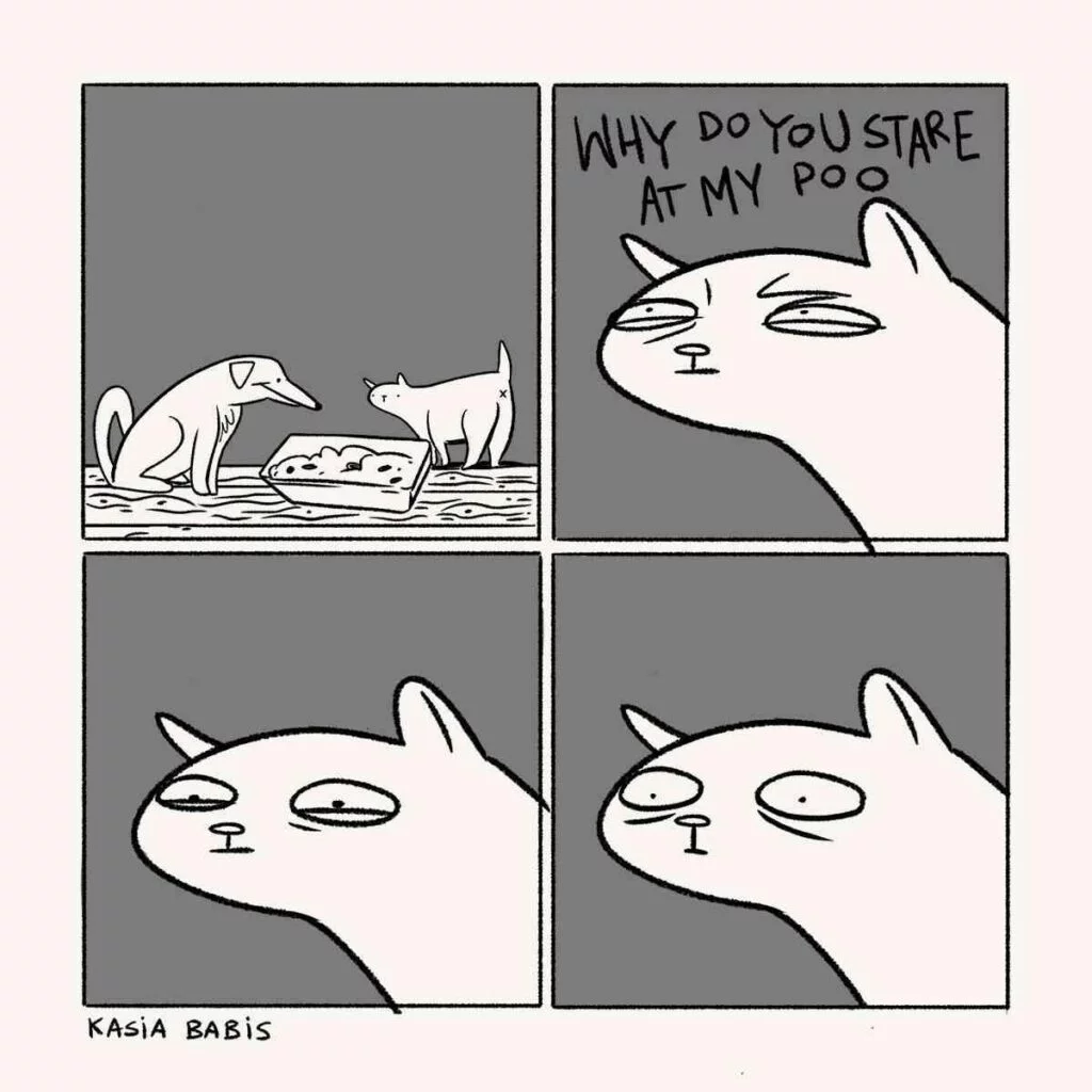 kasia-babis-comics-illustrations