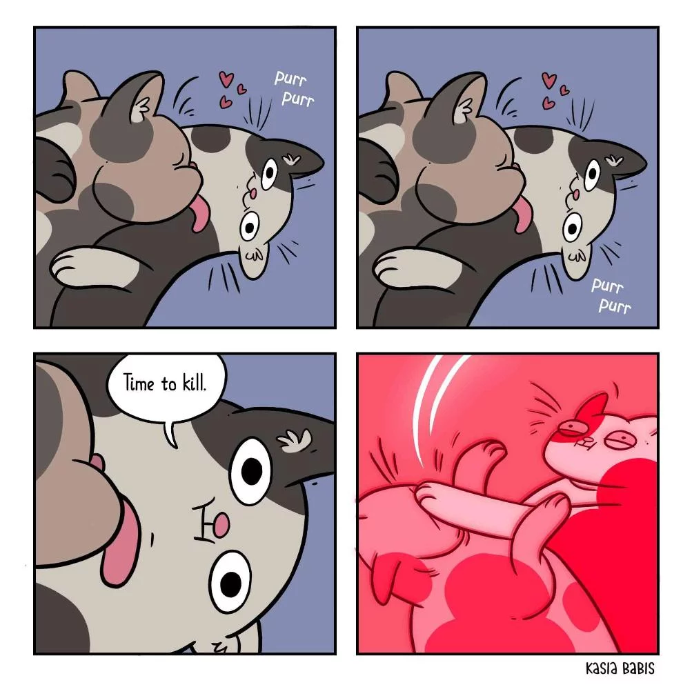 kasia-babis-comics-illustrations