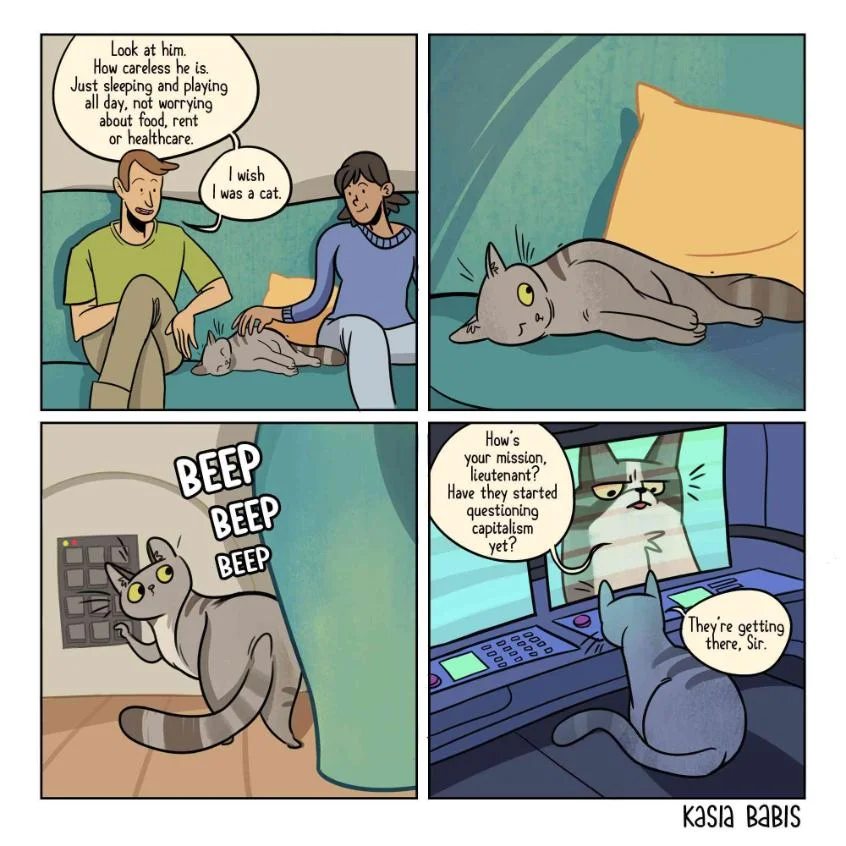 kasia-babis-comics-illustrations