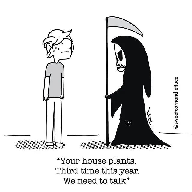 ruth-martin-comics-sweet-corn-lettuce