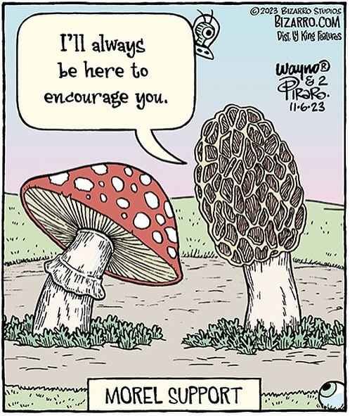 dan-piraro-humor-comics