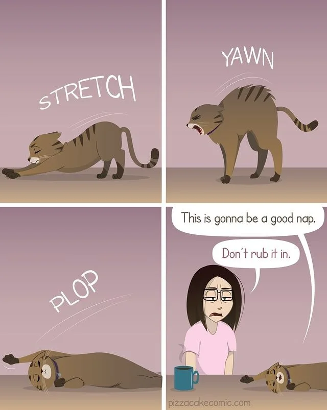 Pizza-Cake-Comics-Relatable-Humor-Ellen-Webcomic