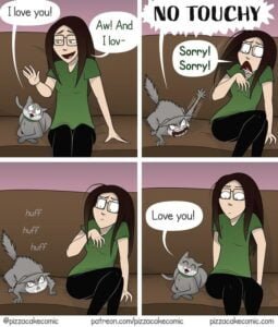 Humor in Everyday Chaos "Pizza Cake Comics" That Nail Life's Struggles