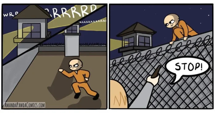 Amandapanda-Comics-From-Lawyer-to-Artist