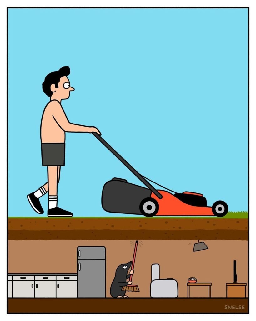 snelse-web-comics-brighton-humor