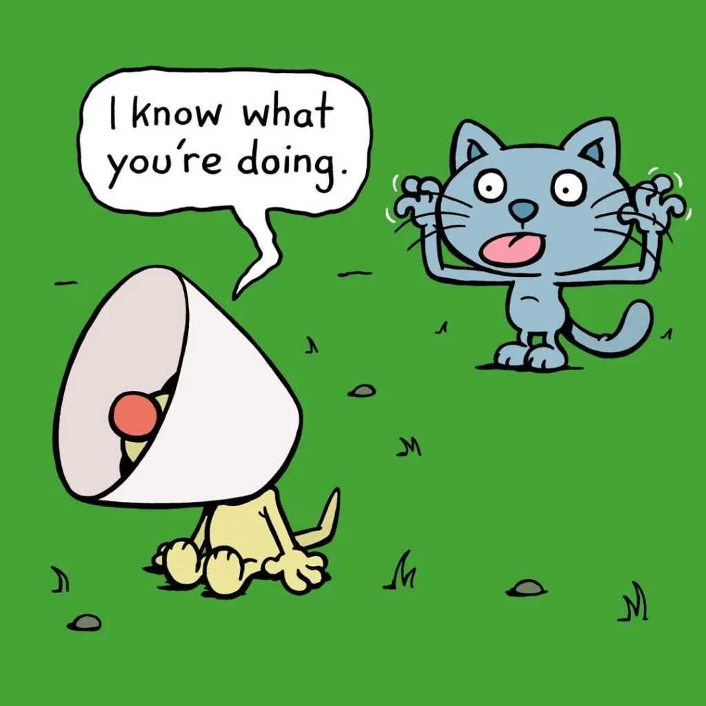 cattitude-comics-funny-absurd-cartoons-by-anthony-smith