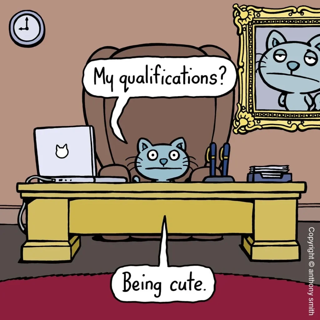 cattitude-comics-funny-absurd-cartoons-by-anthony-smith