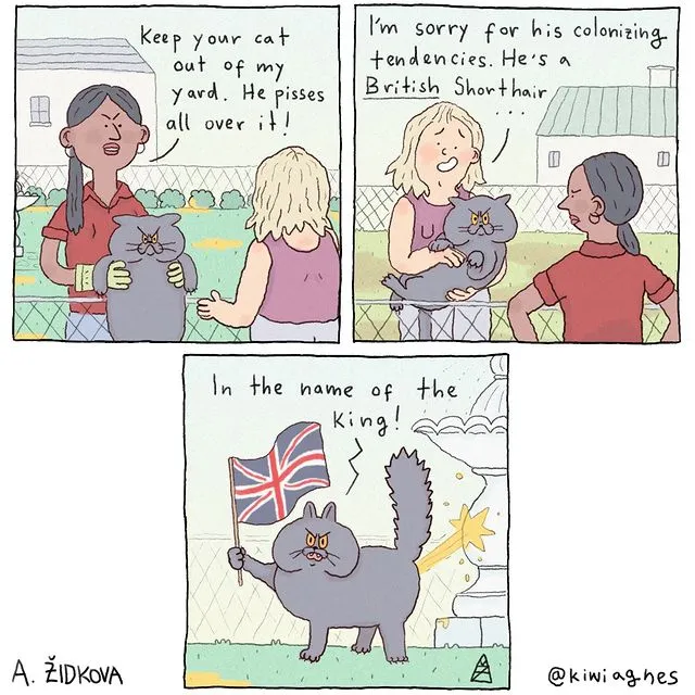 Funny and relatable humor comics by Anezka Zidkova