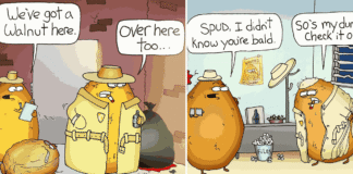 Dark Humor Meets Everyday Food: Inside “Fruit Gone Bad” (17 Comics) fruit-gone-bad-sweet-potato-makeover (2)