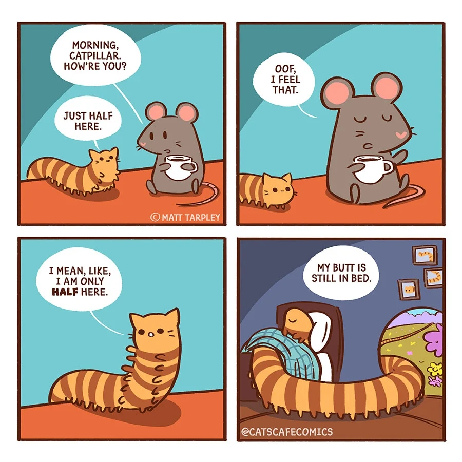 A striped orange cat says it is only half here while a brown mouse holds a coffee cup and sympathizes.
