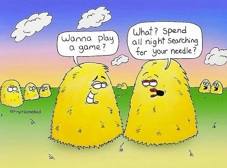 Fruit Gone Bad comic #13: two fuzzy yellow creatures discuss playing a game and searching for a needle.