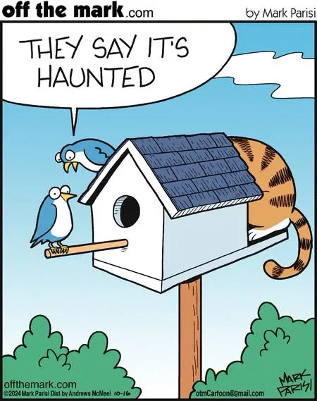 Two blue birds perch on a birdhouse while a striped cat curls inside, making the birds describe the house as haunted.