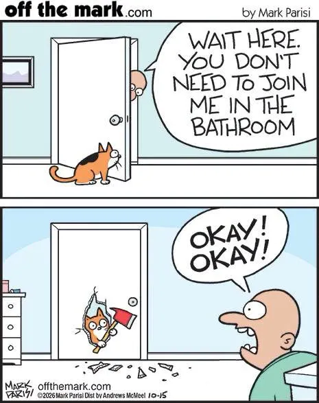 A four-panel comic shows a cat waiting outside a bathroom before bursting through the door carrying a plunger.
