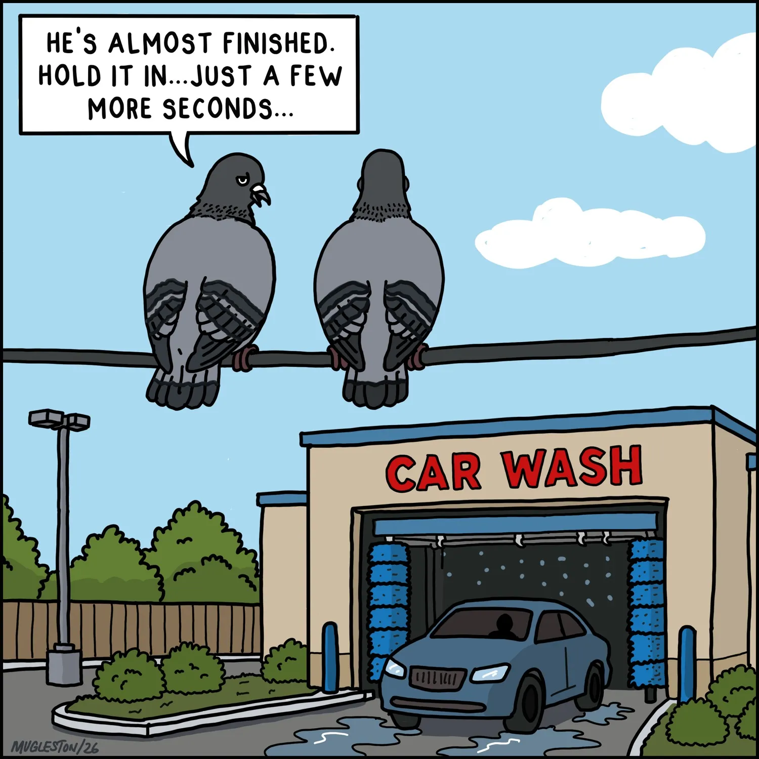 Walk the Fish Comic #2: Pigeons at the Car Wash. Two pigeons wait above a car wash, turning a routine moment into a dry joke.