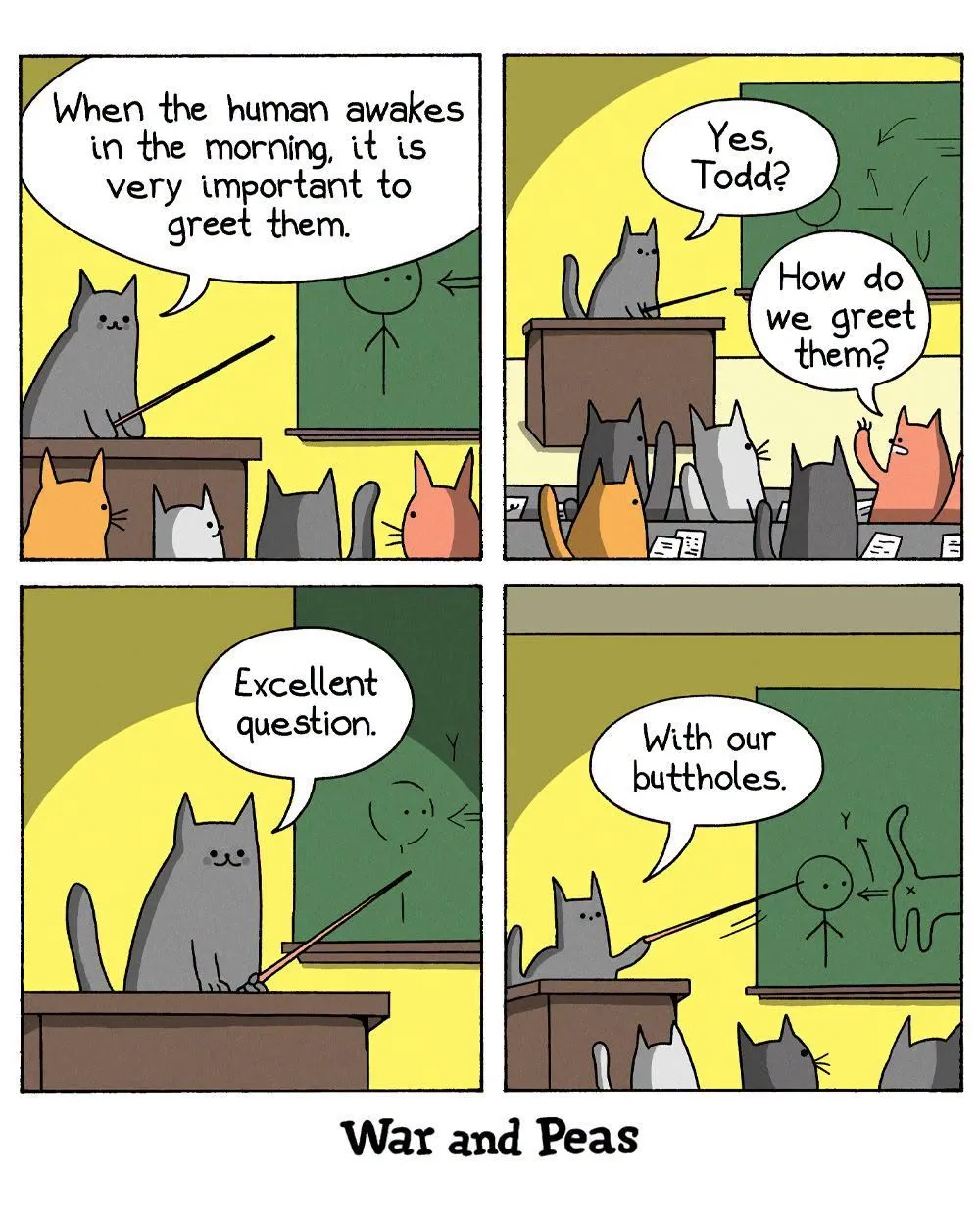 A gray cat teacher points to a chalkboard while a classroom full of cats listens.